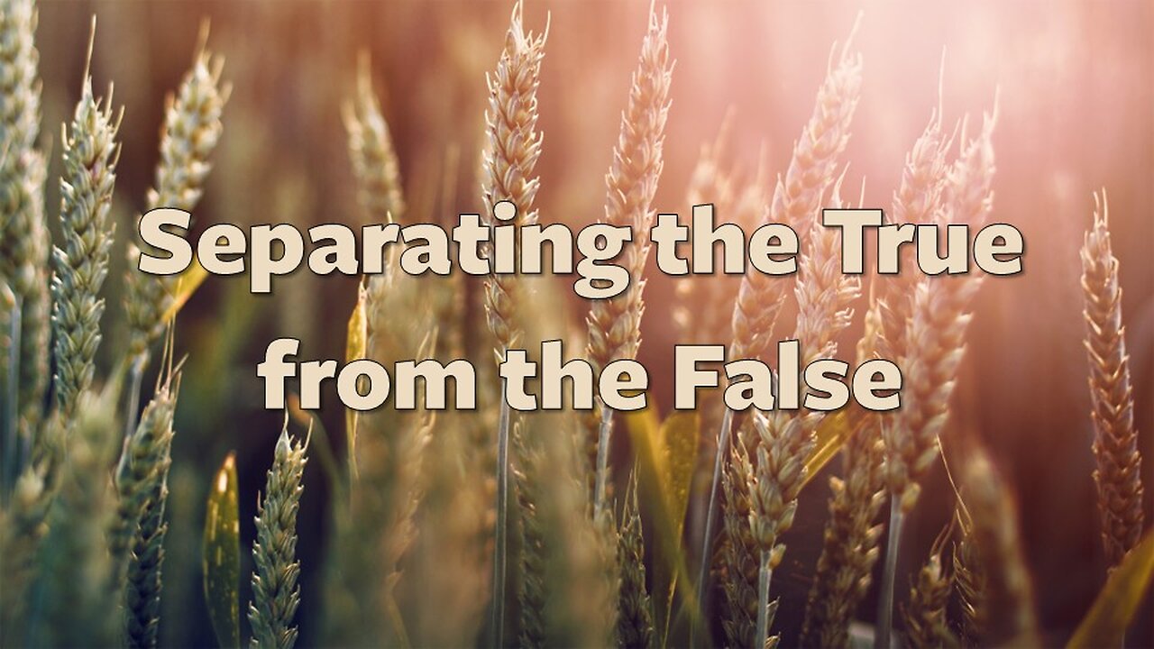 Separating the True from the False | contemporary