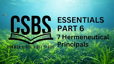 Bible Study Essentials part 6: Seven Principles of Hermeneutics