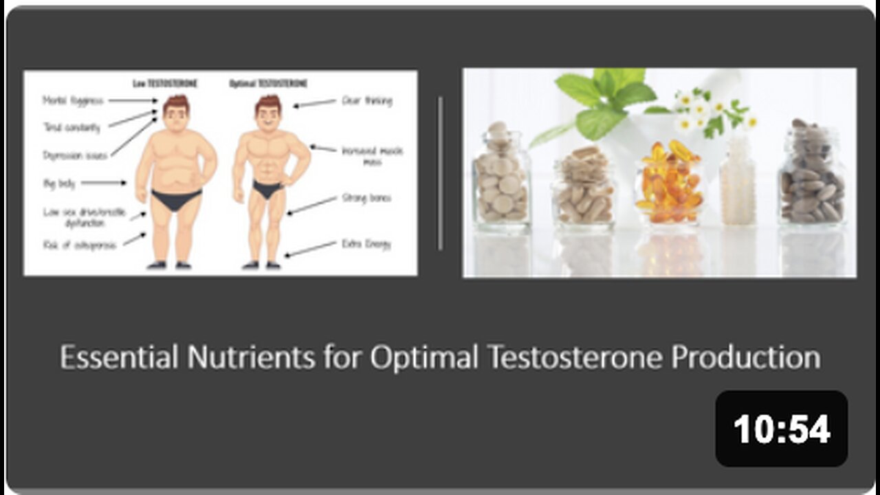 Testosterone Supplements & Nutrients