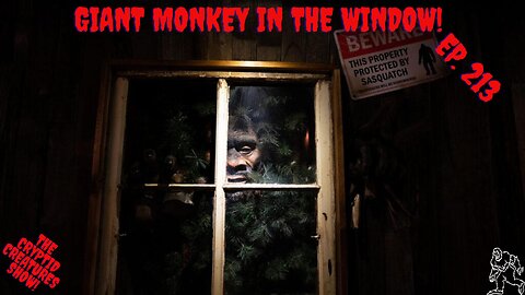 Giant Monkey in the Window! EP. 213