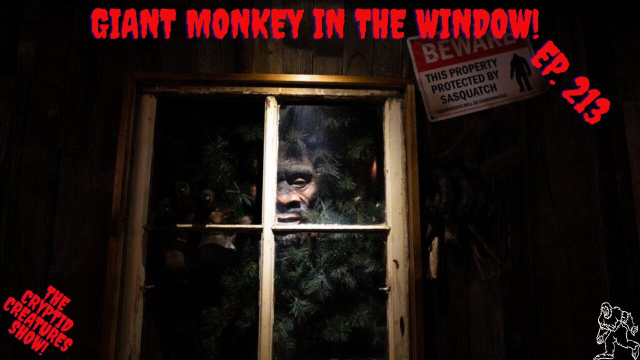 Giant Monkey in the Window! EP. 213