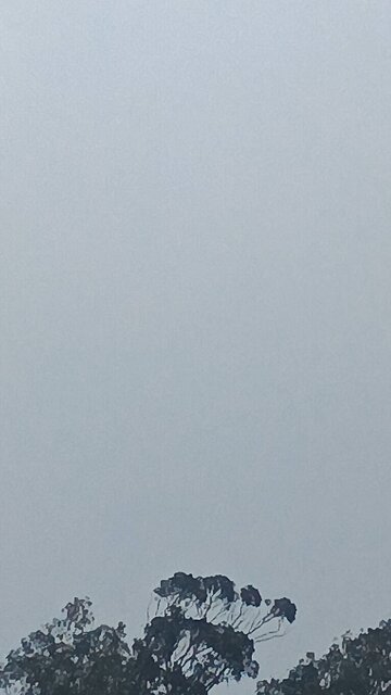 drac demonrats poisoning human Americans #chemfog