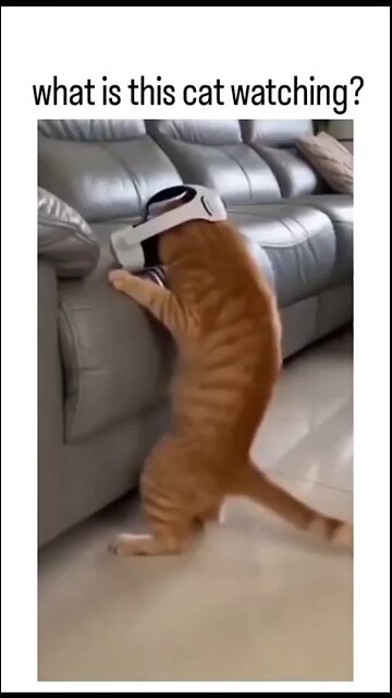 same energy, different package