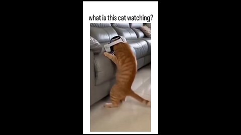 same energy, different package