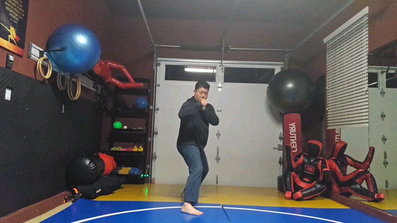 WTD 2 Step Kick Combination 74