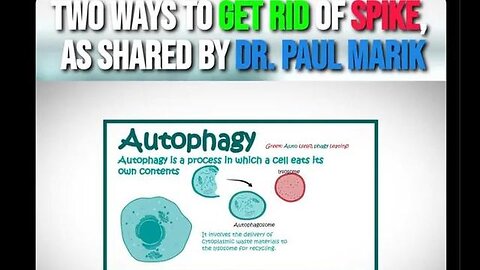 Two ways to get ris of the spike protein - Dr Paul mark