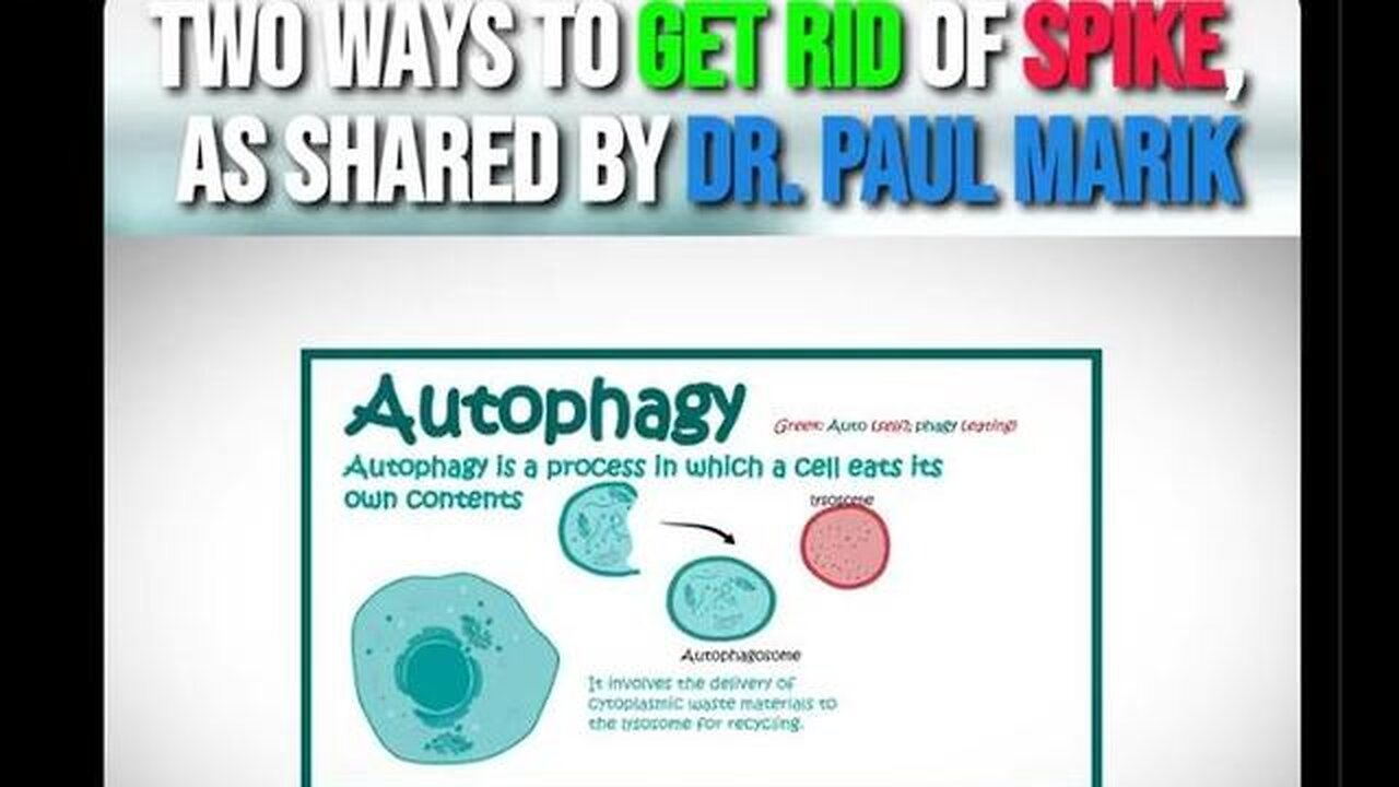 Two ways to get ris of the spike protein - Dr Paul mark