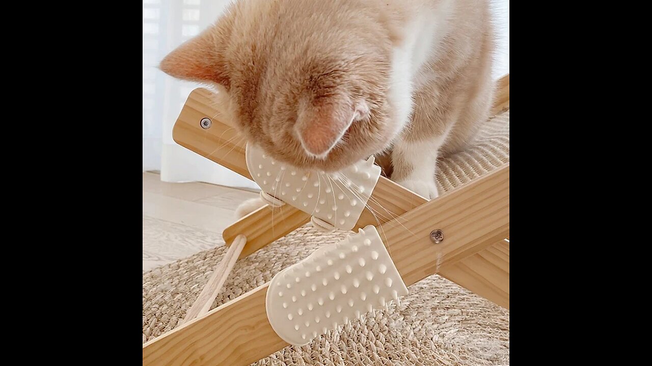 Pet Silicone Grooming And Scratching Tool