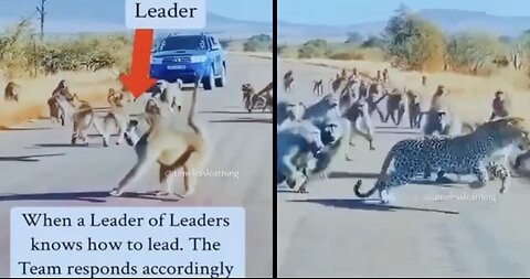 Leadership and teamwork!