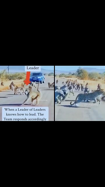 Leadership and teamwork!