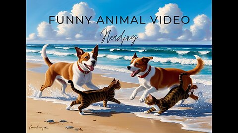 Funny Cats And Dogs Videos | Best Funniest Animal videos 2025