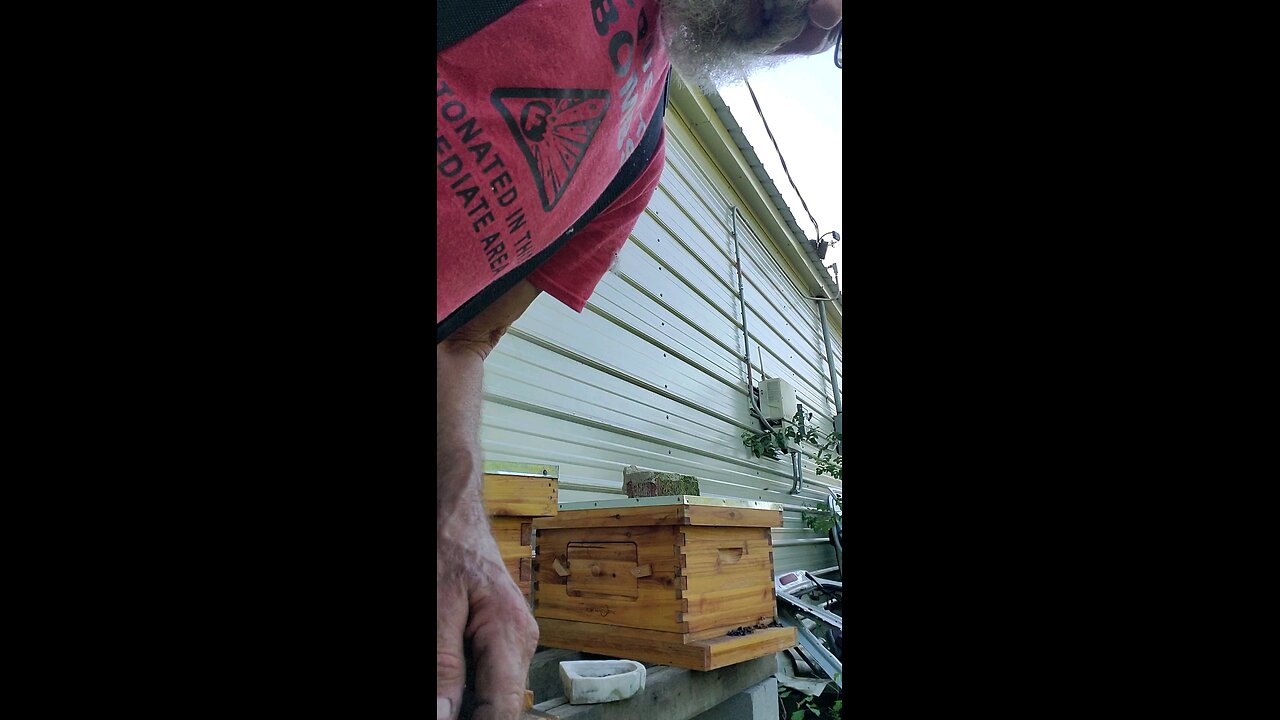 🐝Quick Look at da Nuc 🐝