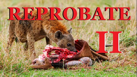 REPROBATE 2