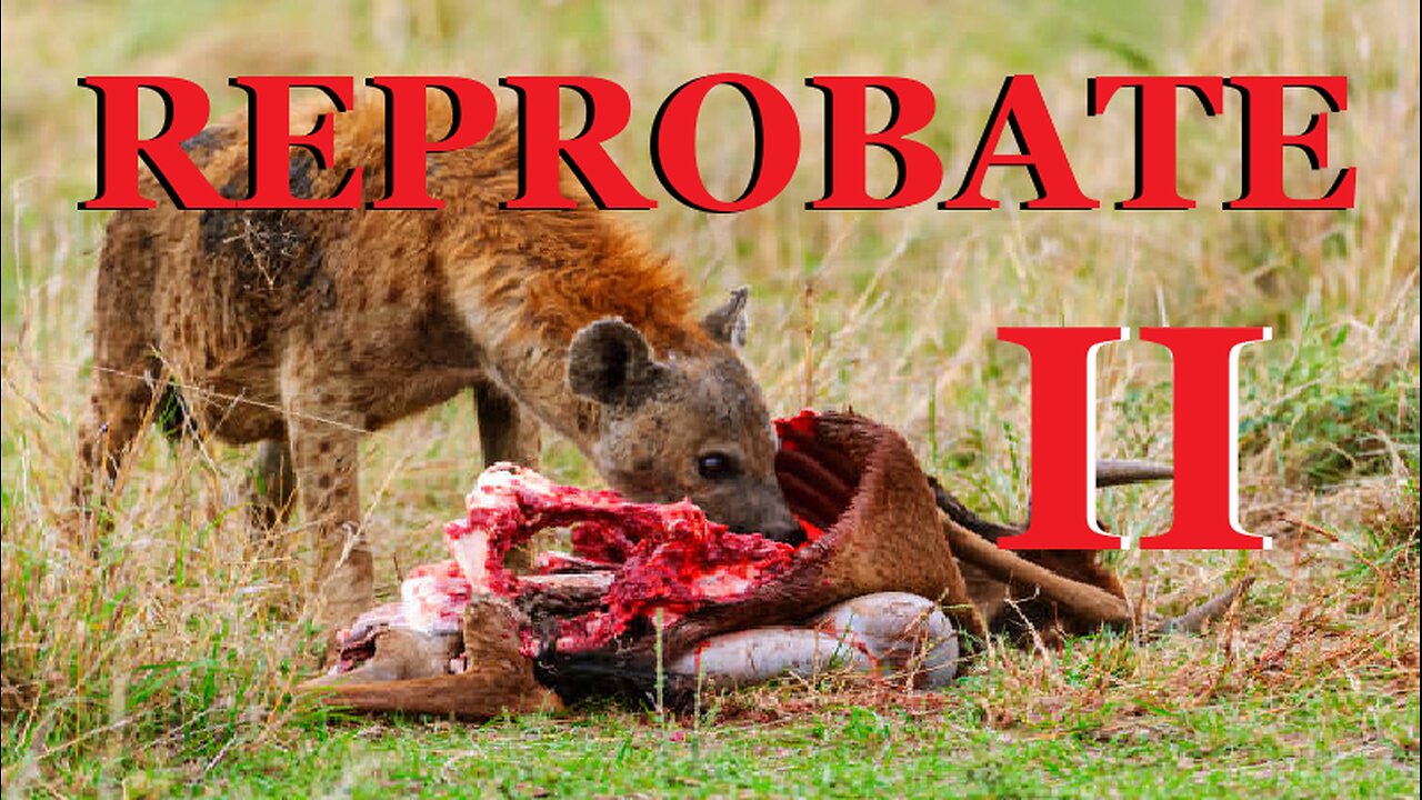REPROBATE 2