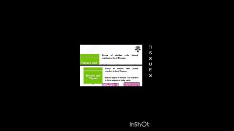 science quiz for children