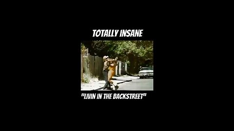 TOTALLY INSANE