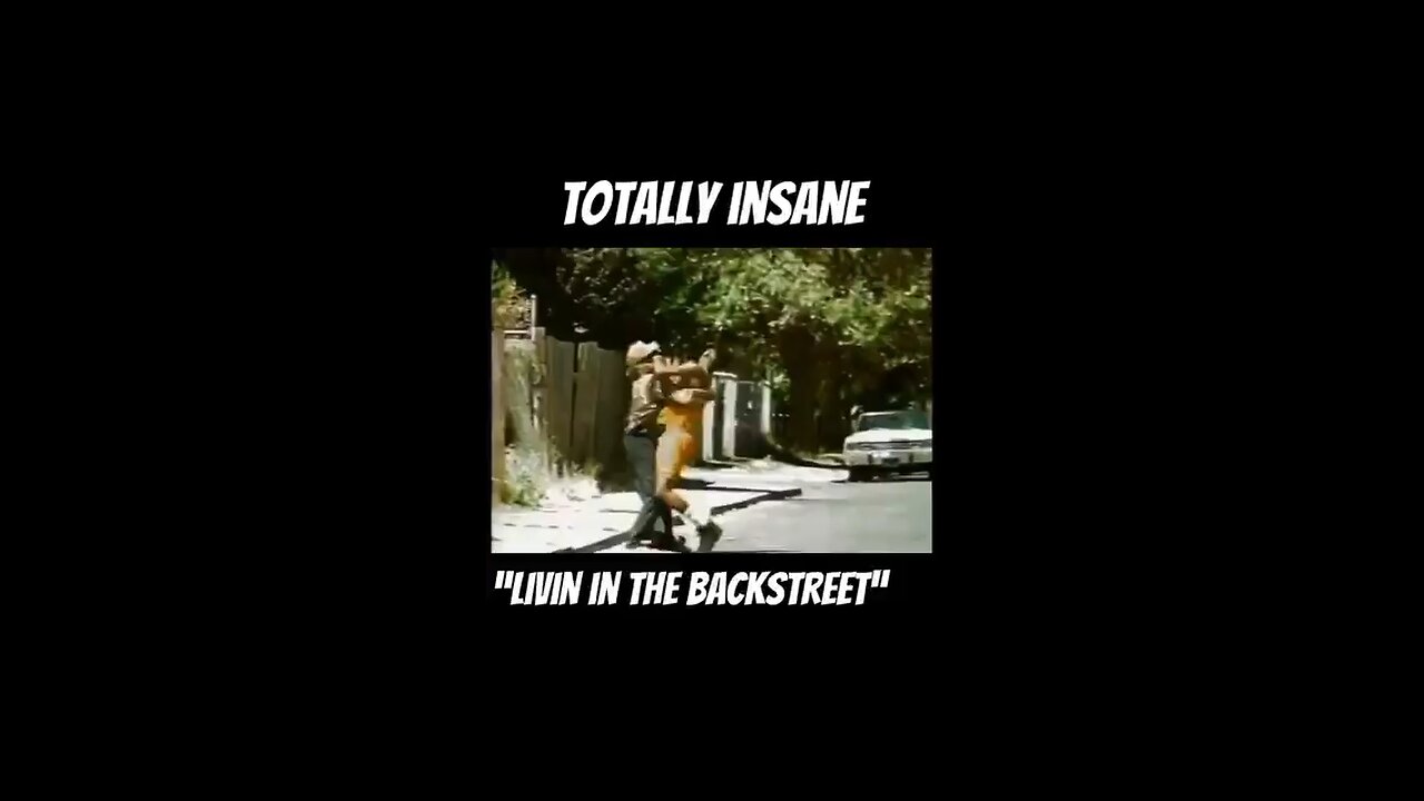 TOTALLY INSANE