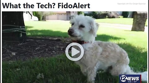 Fido Alert (for dogs) & Tabby Alert (for cats) SERVICE FOR LOST PETS & OWNERS - 2 mins.
