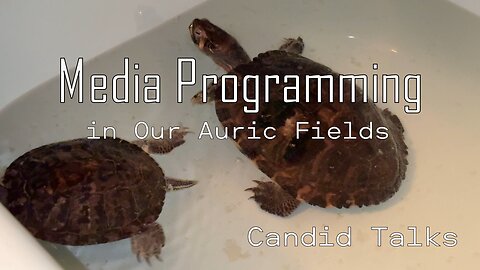 Breaking Free From Media Programming 📻 Candid Talks 032 | Awareness is Key #podcast #patreoncreator