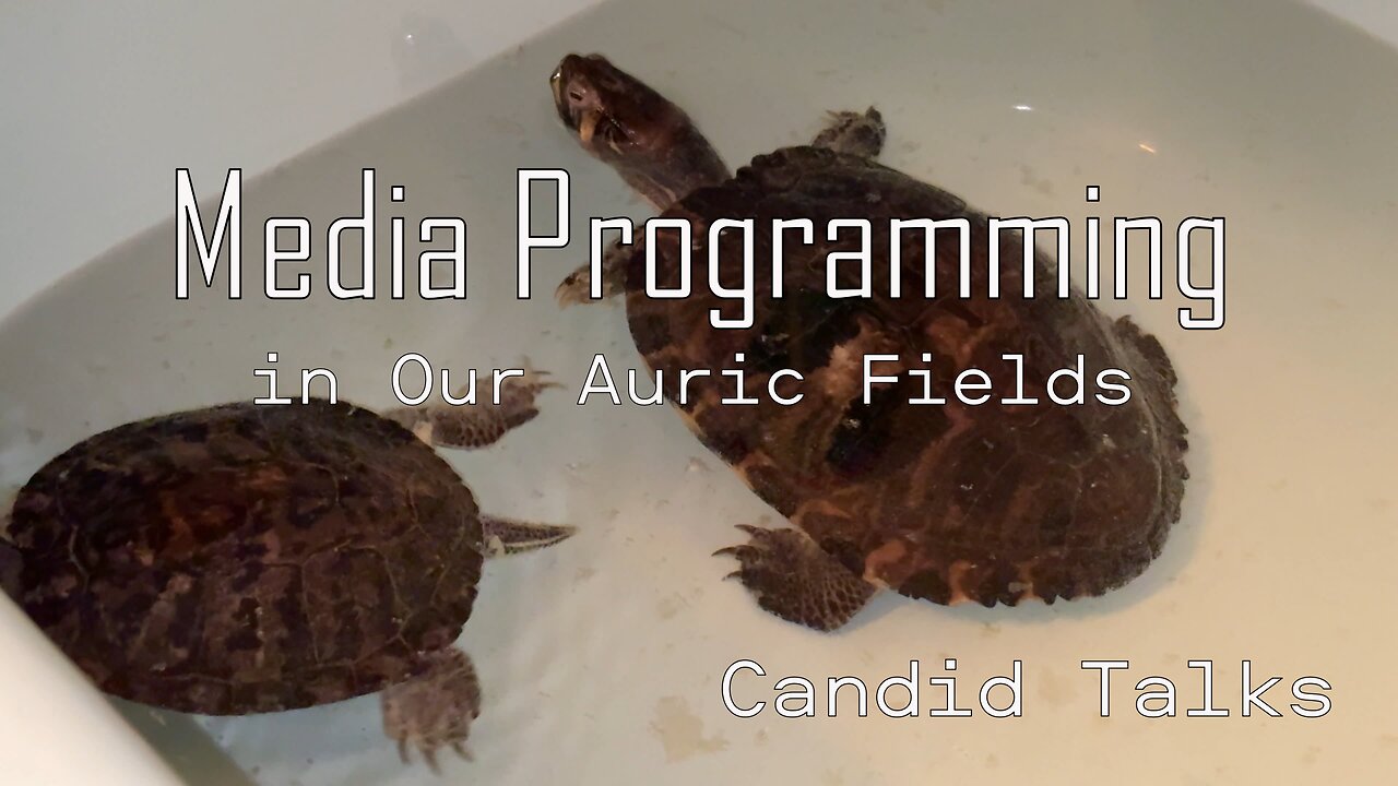 Breaking Free From Media Programming 📻 Candid Talks 032 | Awareness is Key #podcast #patreoncreator