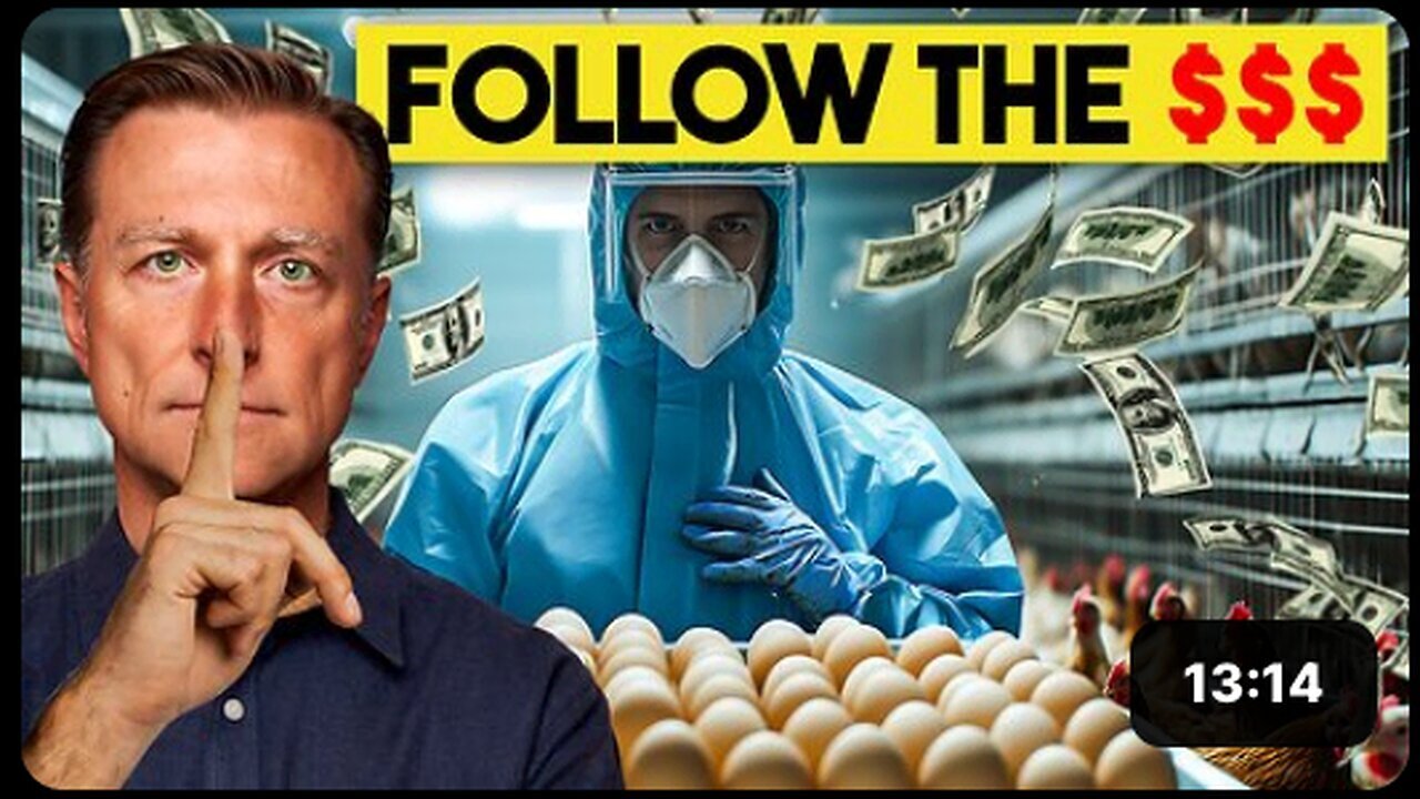 "Unscrambling the Truth: How Market Forces Determine Egg Prices"