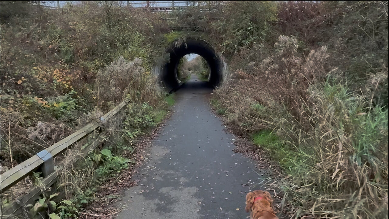 26/10/25 trail run with willow 16 mile