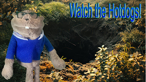 Watch The Hotdogs! *Skit*