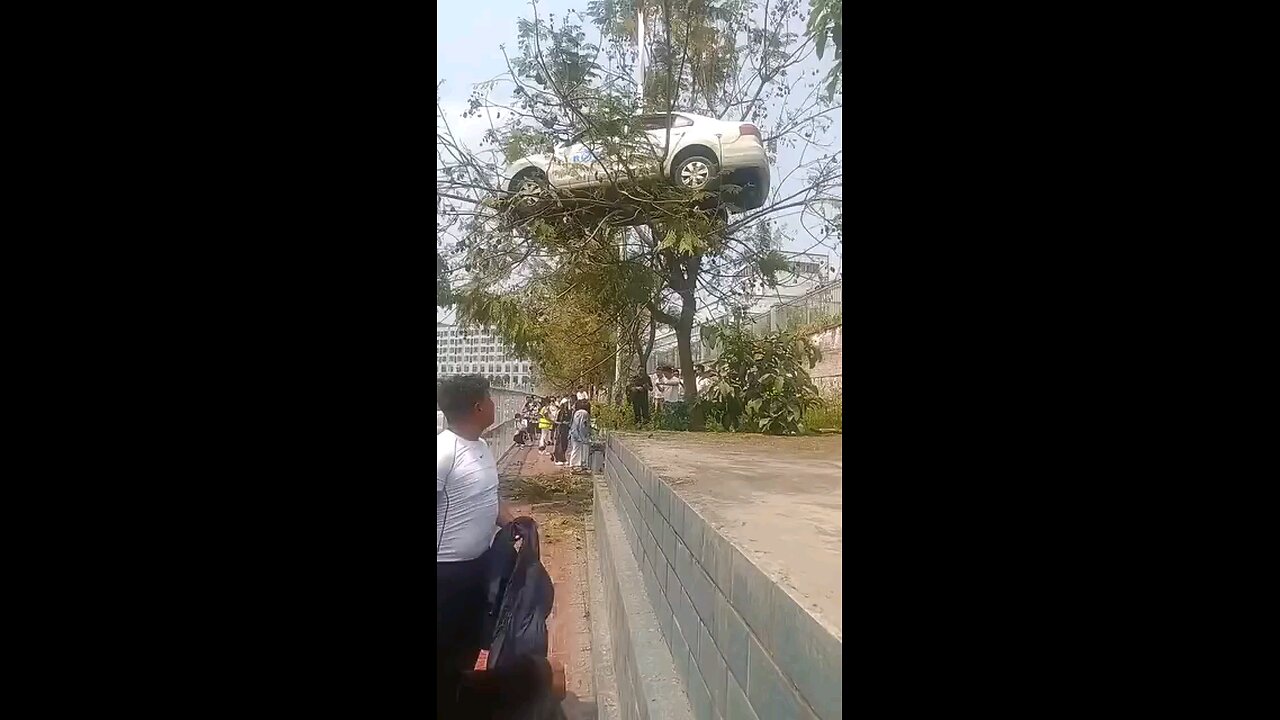 The car is a stick over the tree 🤣🤣