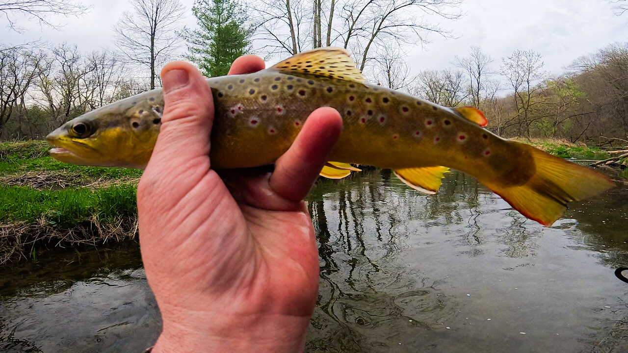 Turning Struggles into Success - One Cast at a Time