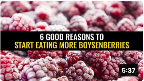 "Why You Should Start Eating More Boysenberries: 6 Convincing Reasons"