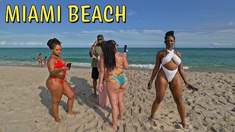 Miami Beach EXPOSED: The REAL Side of Miami Beach Tourists Never See