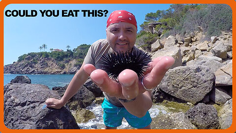 Third Island At 40 | We Went Back In Time In IBIZA And Hunted For Sea Urchins!