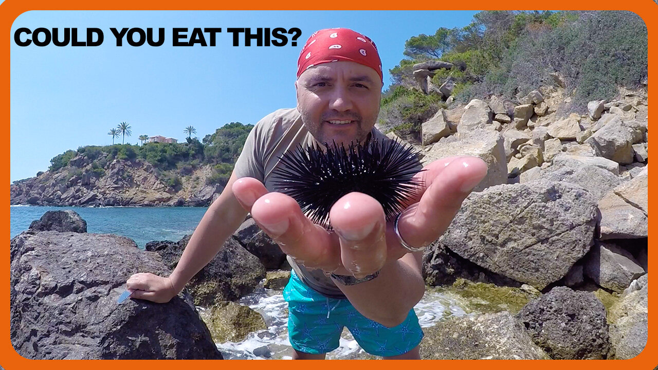 Third Island At 40 | We Went Back In Time In IBIZA And Hunted For Sea Urchins!