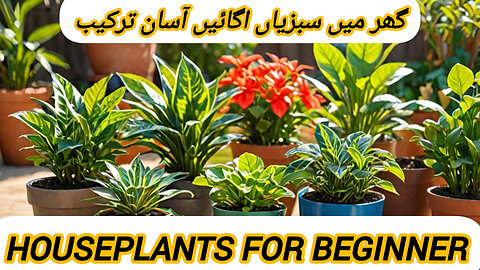 HOW TO MAKE HOUSEPLANT CARE GARDENING TIPS INJEER THE AND PL NE