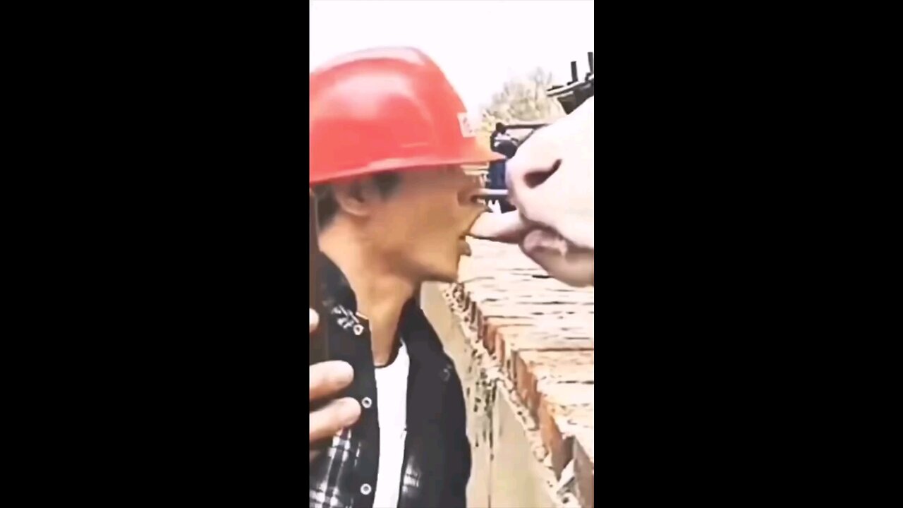 funny