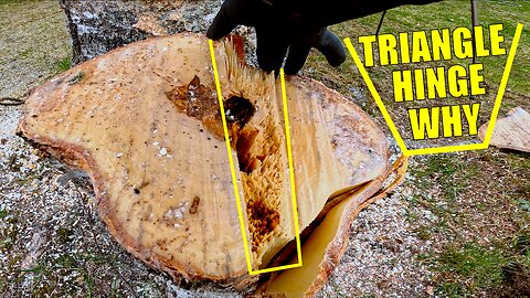 See How a Triangle Hinge Changes the Game in Tight Tree Jobs