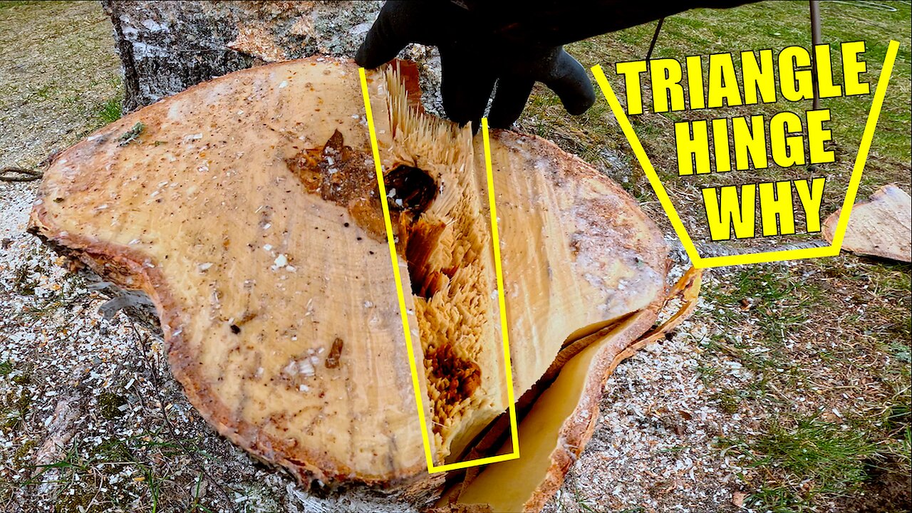 See How a Triangle Hinge Changes the Game in Tight Tree Jobs