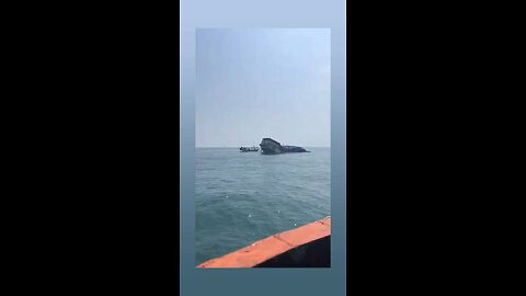 a sea transportation accident occurred
