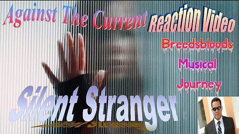 Against The Current - Silent Stranger - Breedsbloods Musical Journey