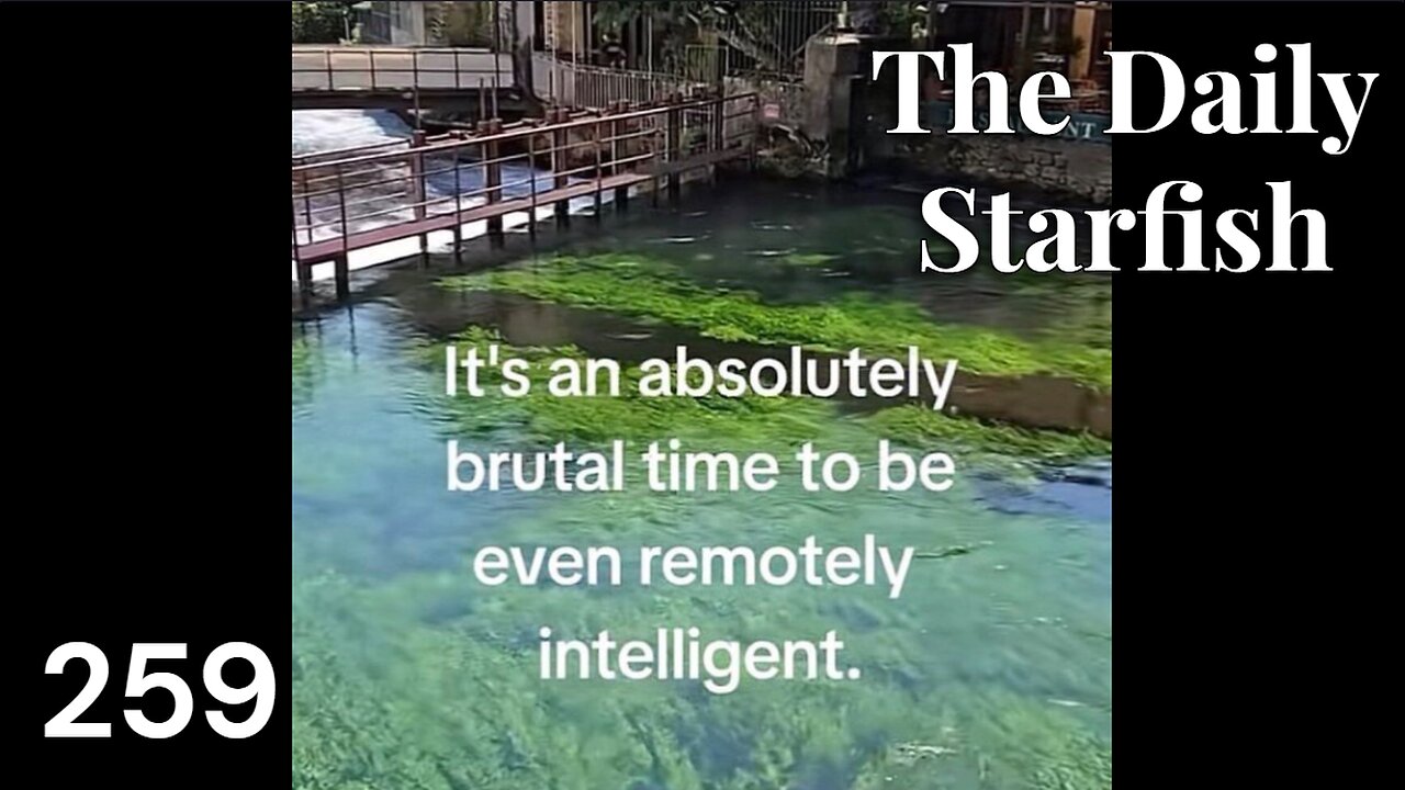 The Daily Starfish #259