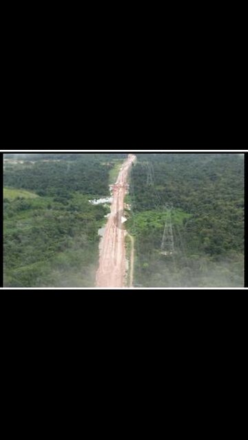 BRAZIL - Amazon forest felled to build road for 'CLIMATE SUMMIT.'