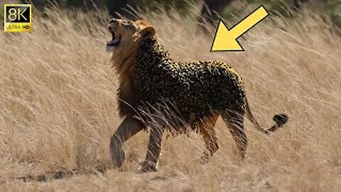 AI-Generated Rescue: Millions of Bees Swarm a Lion – Watch the Rescue!