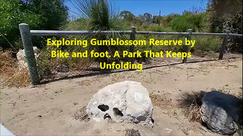 Exploring Gumblossom Reserve by Bike and foot. A Park That Keeps Unfolding