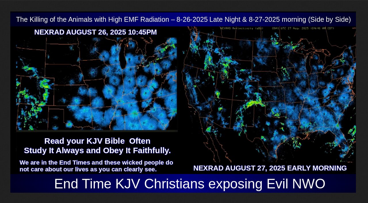 The Killing of the Animals with High EMF Radiation – 8-26-2025 & 8-27-2025 morning (Side by Side)