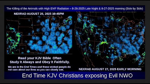 The Killing of the Animals with High EMF Radiation – 8-26-2025 & 8-27-2025 morning (Side by Side)