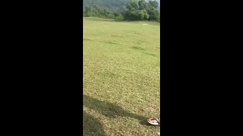 satisfying Video