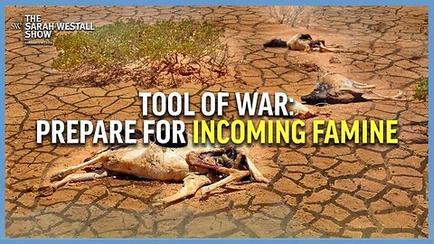 "Understanding Famine: Using Food as a Warfare Strategy with Sarah Westall & Marjory Wildcraft"