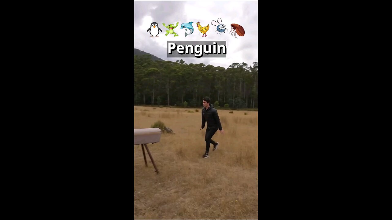 if animals did parkour