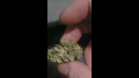 All dried