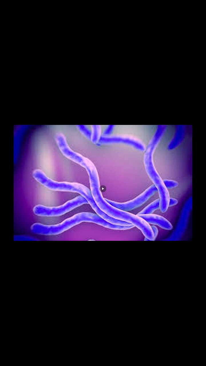 PROOF IS HERE: ALL PARASITES > ALMOST ALL DISEASES LIKE CANCER, LYME, LEUKEMIA, etc